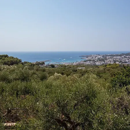 Degli Ulivi Depandance Διαμέρισμα